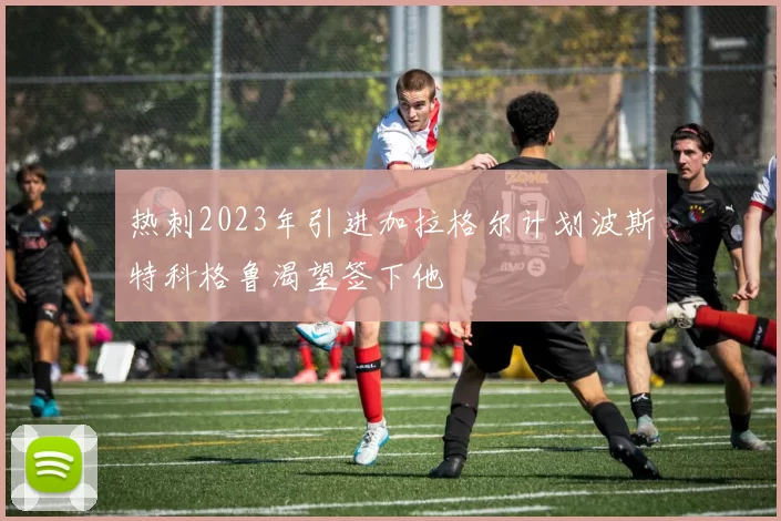 热刺2023年引进加拉格尔计划波斯特科格鲁渴望签下他